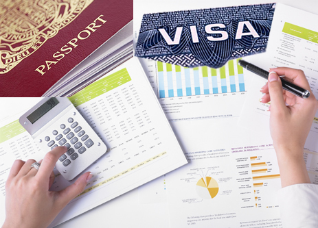 vip passport and visa service